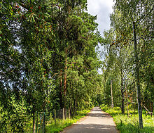 Участок в первой линии от воды