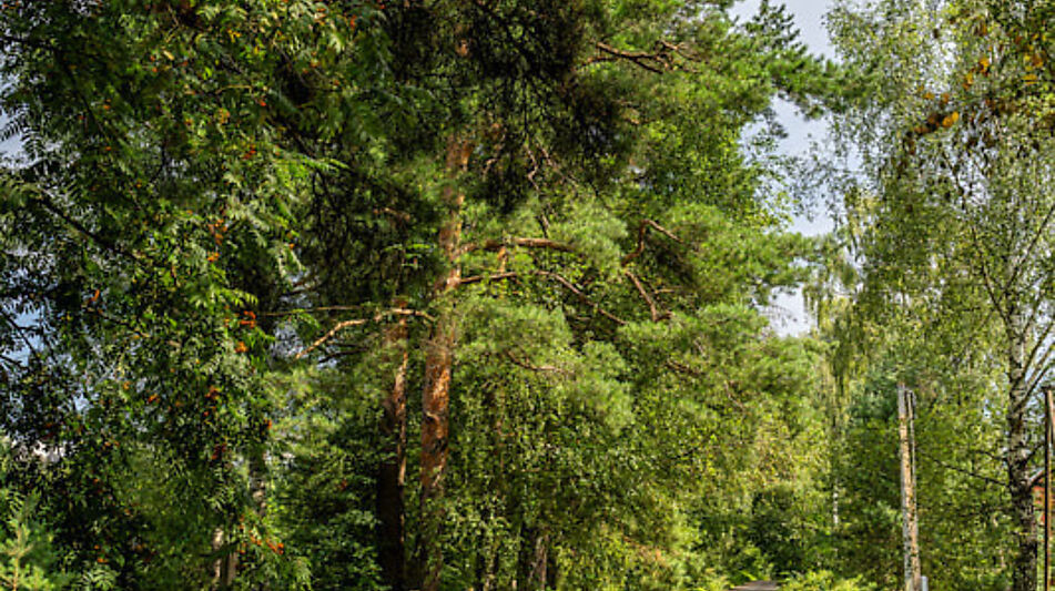Участок в первой линии от воды