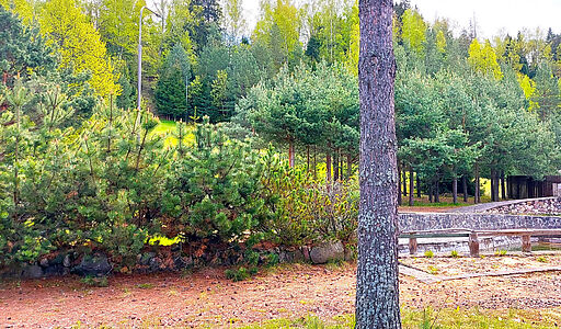 Участок в КП Красновидово-2