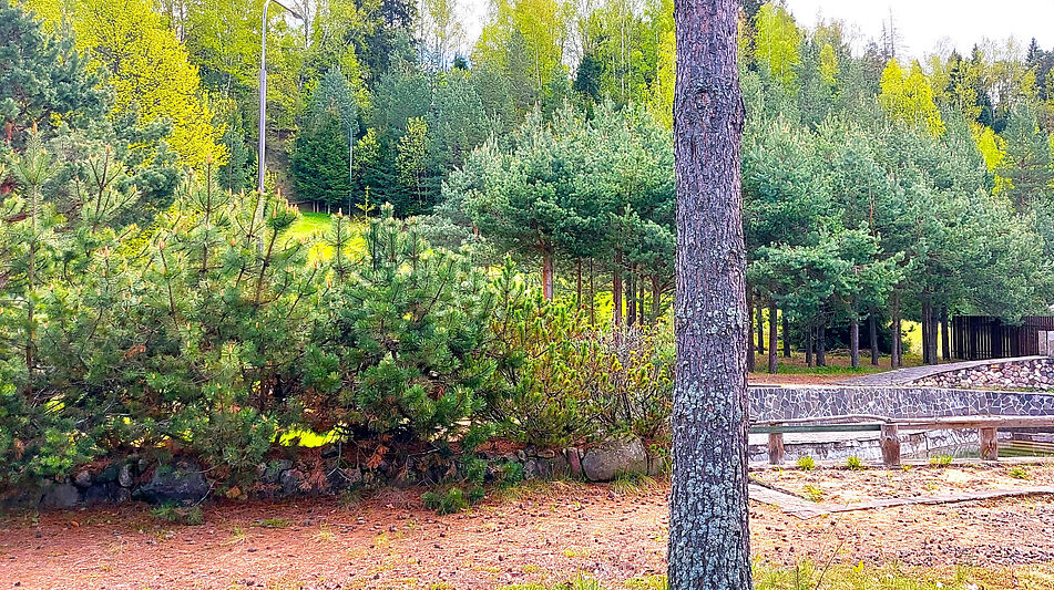 Участок в КП Красновидово-2