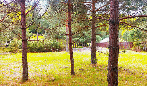 Участок в КП Красновидово-2