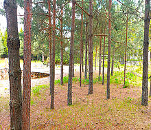 Участок в КП Красновидово-2