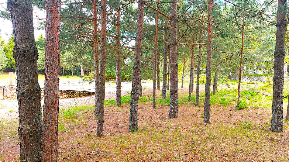 Участок в КП Красновидово-2