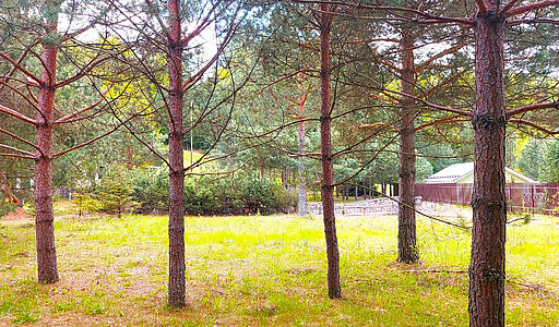 Участок в КП Красновидово-2