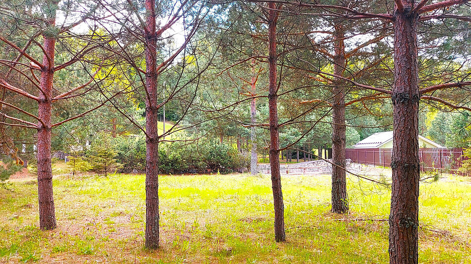 Участок в КП Красновидово-2