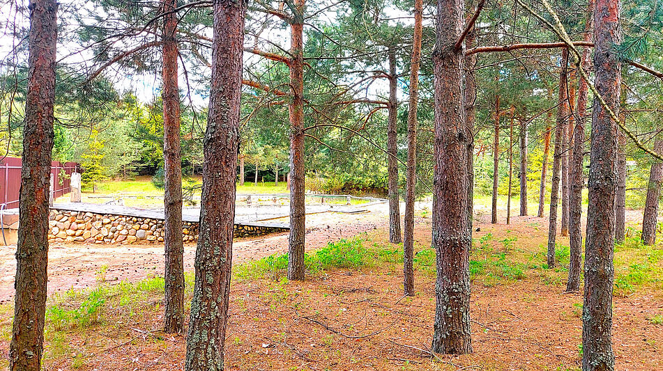 Участок в КП Красновидово-2