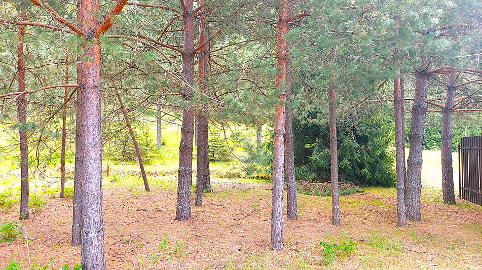 Участок в КП Красновидово-2