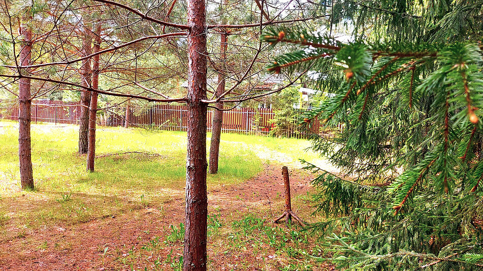 Участок в КП Красновидово-2