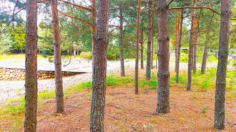 Участок в КП Красновидово-2