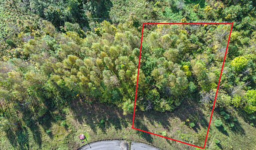 Участок в Александровской Слободе