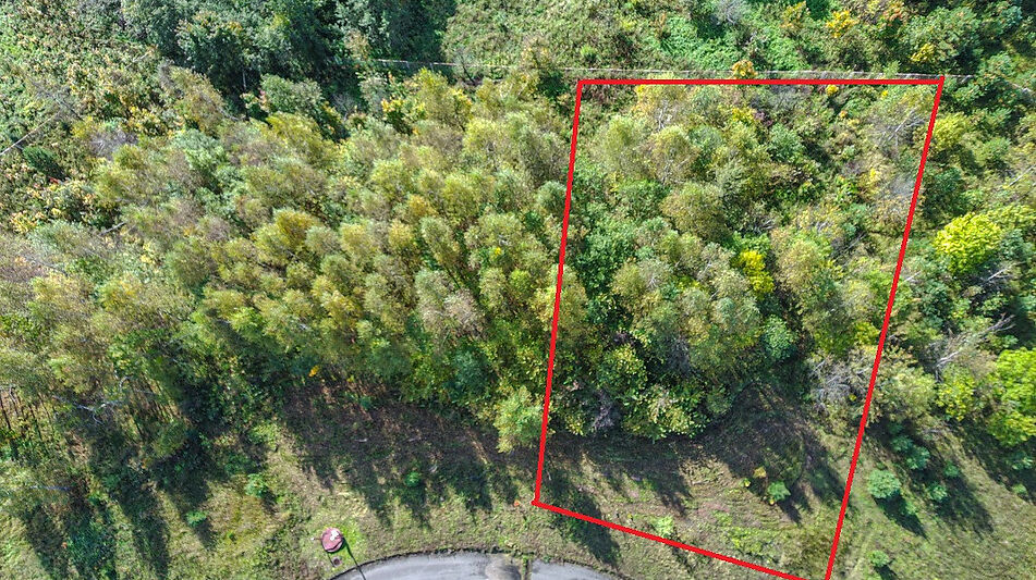 Участок в Александровской Слободе