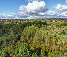 Участок в Александровской Слободе