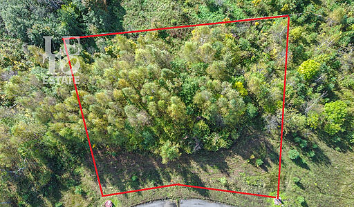 Участок в Александровской Слободе