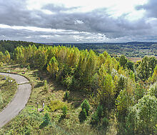 Участок в Александровской Слободе