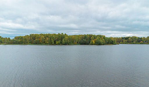 Участок на первой линии Витенево