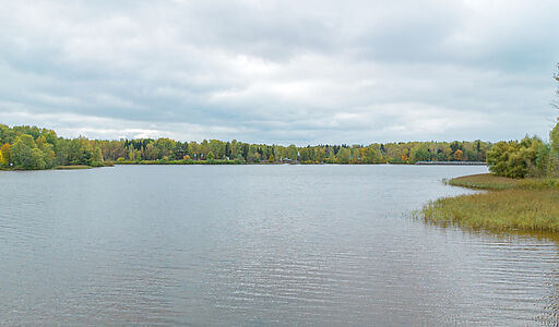Участок на первой линии Витенево