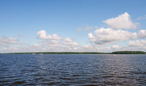 Участок на первой линии Витенево