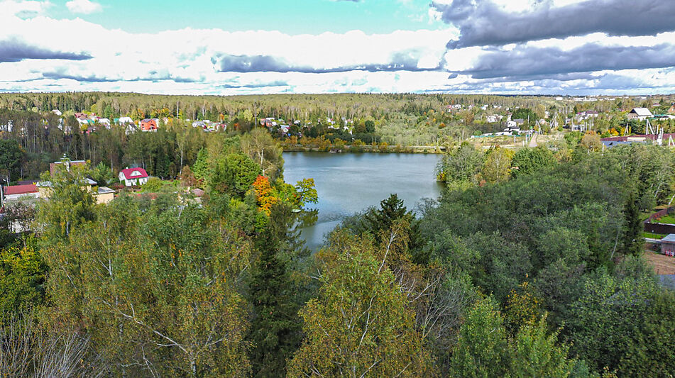 Деревянные дом в КП Бонифаций