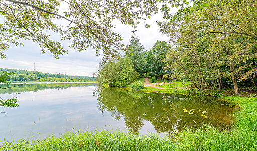 Деревянные дом в КП Бонифаций