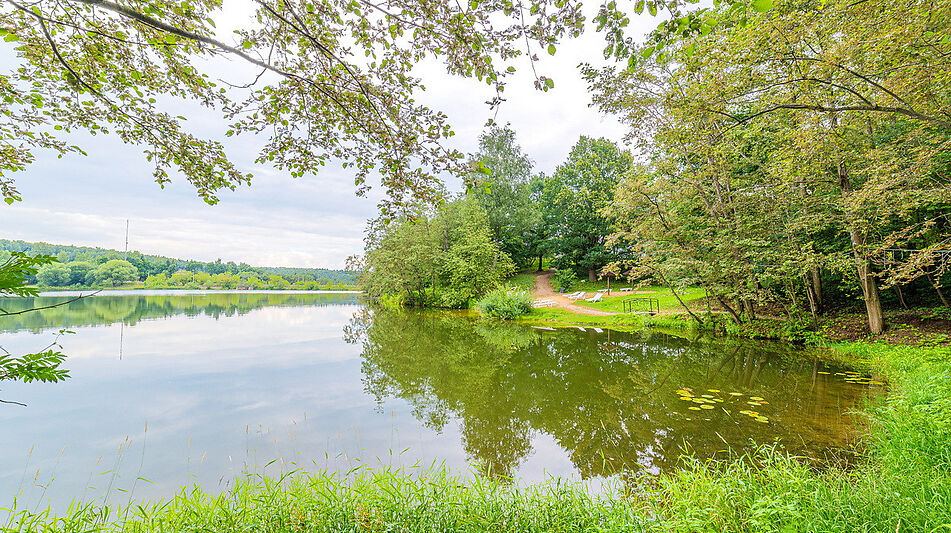 Деревянные дом в КП Бонифаций