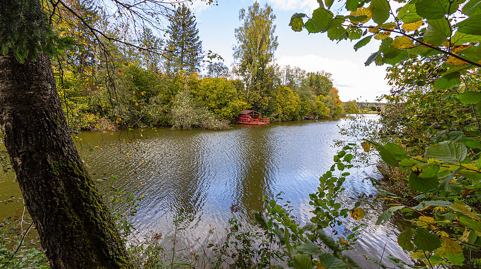 Деревянные дом в КП Бонифаций