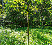 Лесной участок в Таганьково