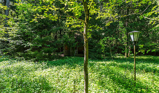 Лесной участок в Таганьково