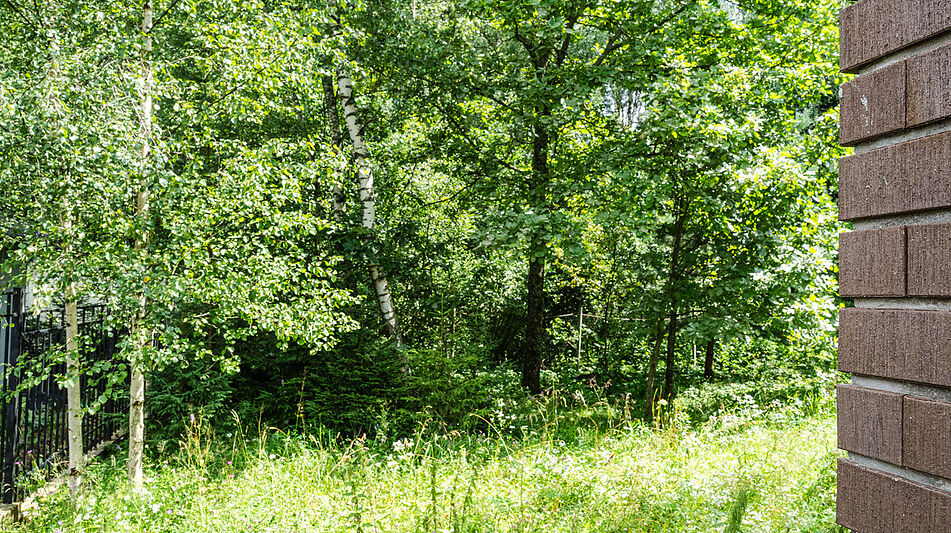 Дом в КП Петровские Аллеи