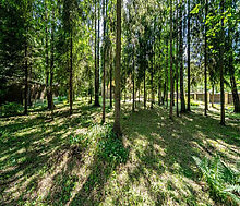 Дом в КП Зеленая роща