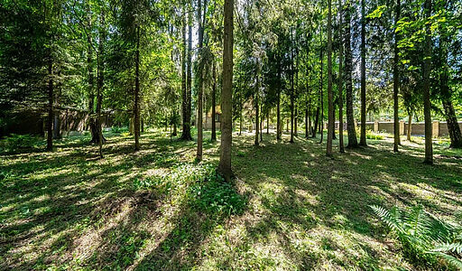 Дом в КП Зеленая роща