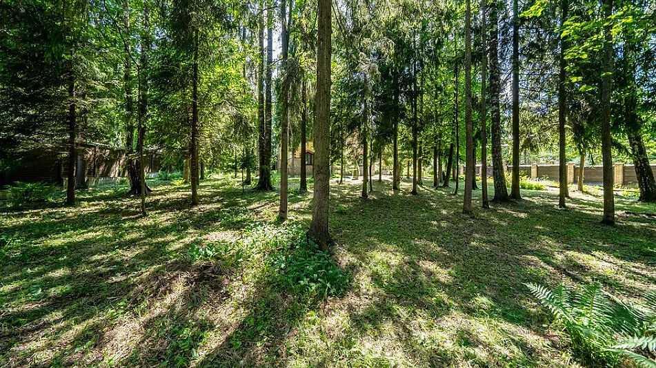 Дом в КП Зеленая роща