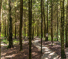 Дом под ключ в КП Благовещенка