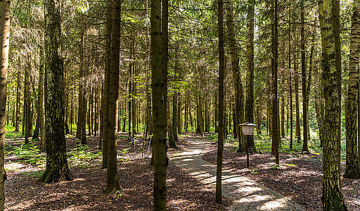 Дом под ключ в КП Благовещенка