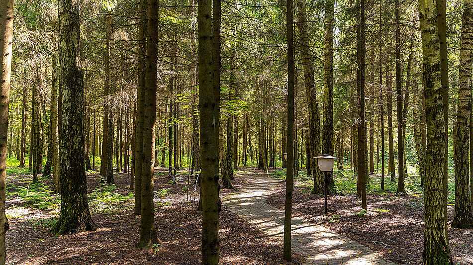 Дом под ключ в КП Благовещенка