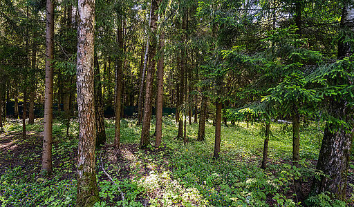 Дом под ключ в КП Благовещенка