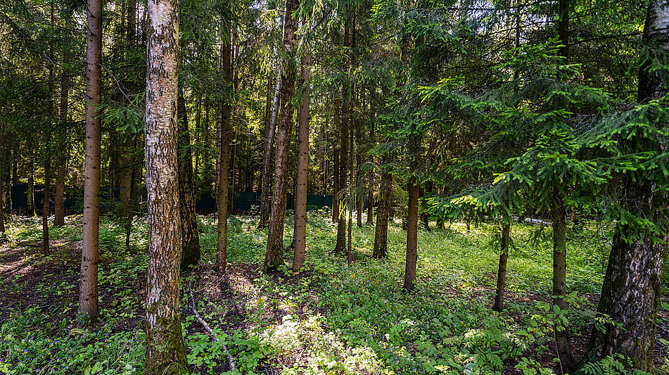 Дом под ключ в КП Благовещенка