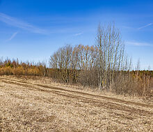 Участок в КП Новосельцево