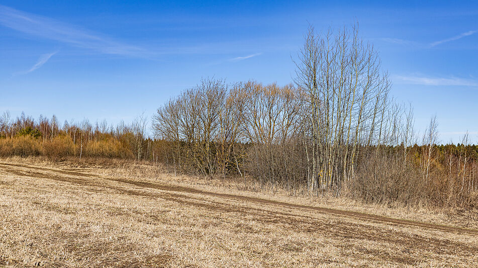 Участок в КП Новосельцево