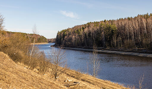 Участок в КП Новосельцево