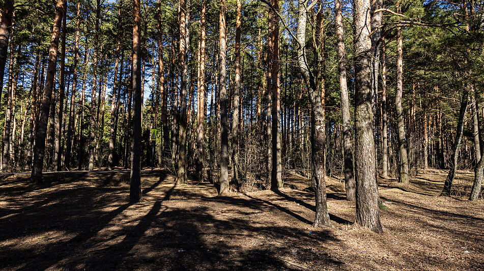 Участок в КП Новосельцево