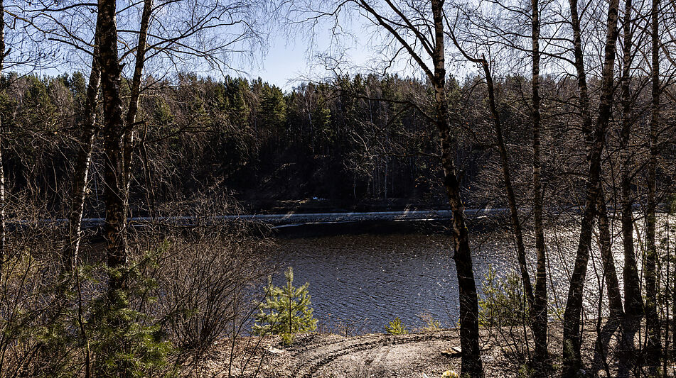 Участок в КП Новосельцево