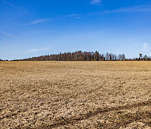 Участок в КП Новосельцево