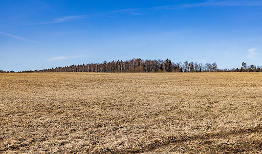 Участок в КП Новосельцево