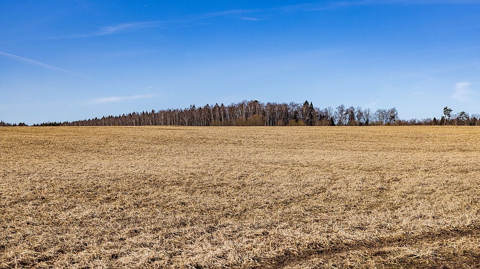 Участок в КП Новосельцево