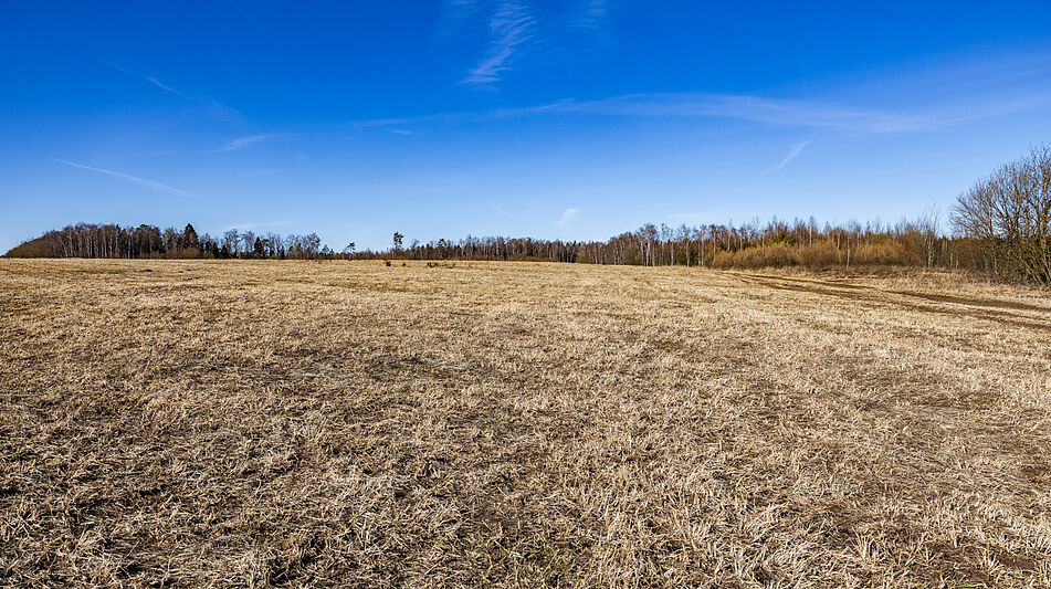 Участок в КП Новосельцево