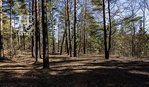 Участок в КП Новосельцево