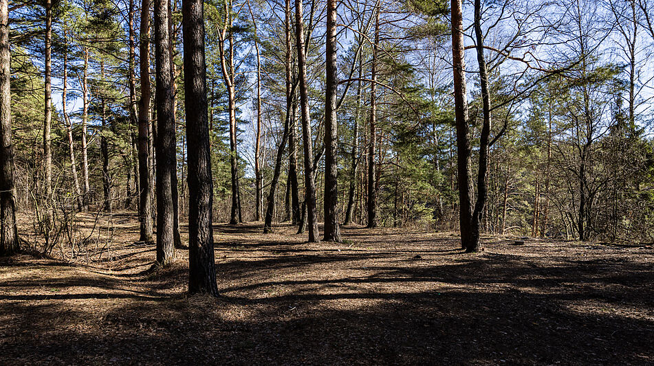 Участок в КП Новосельцево