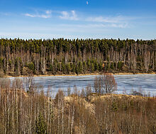 Участок в КП Новосельцево