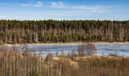 Участок в КП Новосельцево