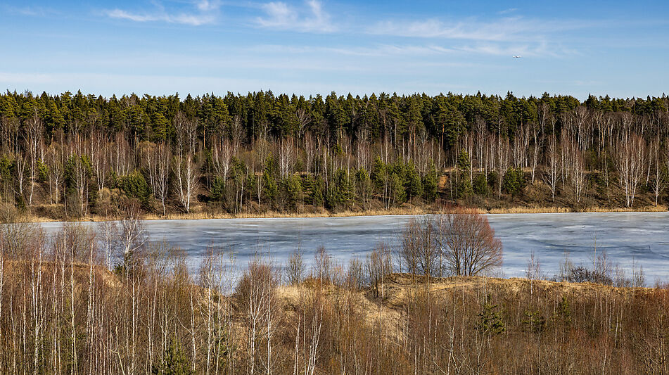 Участок в КП Новосельцево